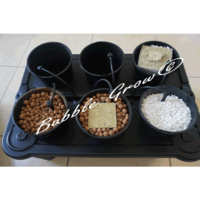 Bubble Grow 6 Pot Hydroponic System Top Feed Bubbleponic DWC NTF Growing Kit