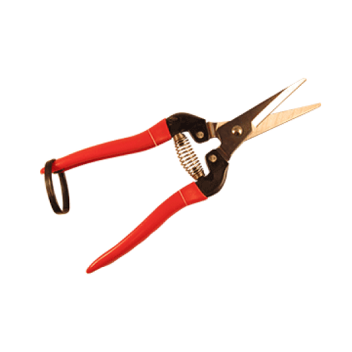 ARS FRUIT PRUNERS HIGH QUALITY GARDEN TRIMMERS CUT BRANCH LEAF SHEARS