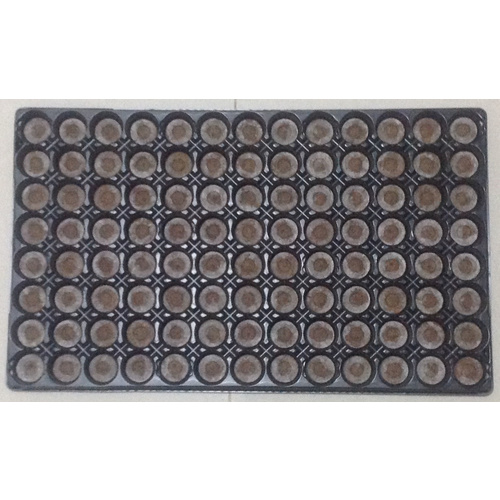 5 x Jiffy 7 Pellet Tray 104 Cell 30mm Jiffy with Tray Ready for Cloning Seeds