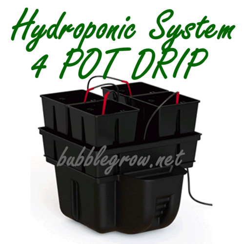 PLATINIUM HYDRO STAR 40 4 POT DRIP HYDROPONIC SYSTEM + WATERPUMP KIT GROWING PLA