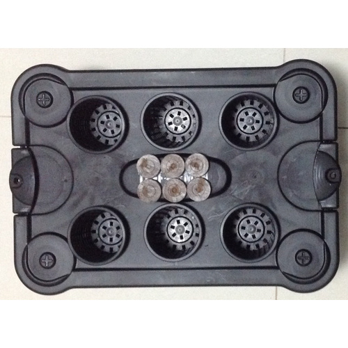  Bubble Grow BUBBLE 6 Hydroponics Bubbleponics DWC Herb Plant Growing Kit System