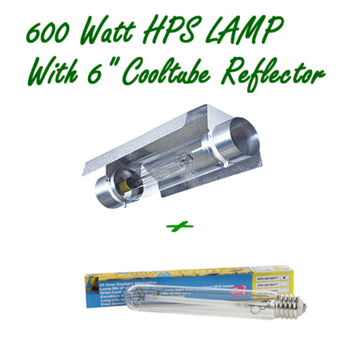 600W HPS HIGH PRESSURE SODIUM LAMP & 6" COOLTUBE REFLECTOR HYDROPONIC COOL TUBE